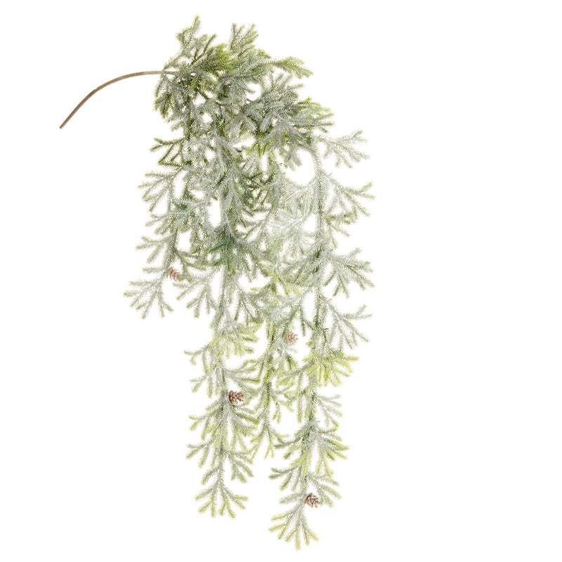 Iced Pine Hanging Branch