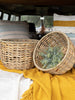 Nia Natural Baskets, [product_price]- Greenhouse Home