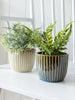 Nalin Planters, [product_price]- Greenhouse Home