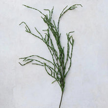 Faux Cactus Pick Greenhouse Home