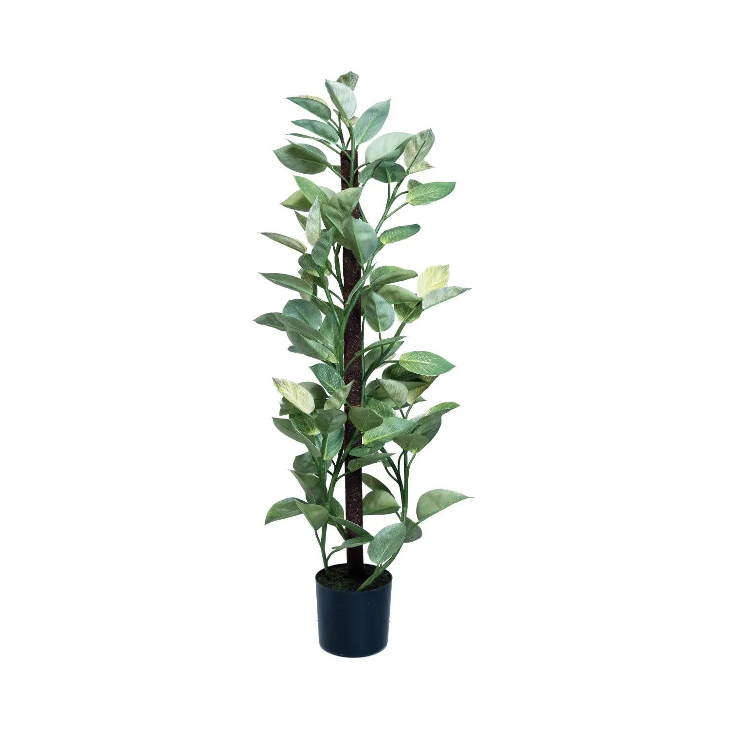 Faux Golden Pothos in Plastic Pot w/ Faux Moss