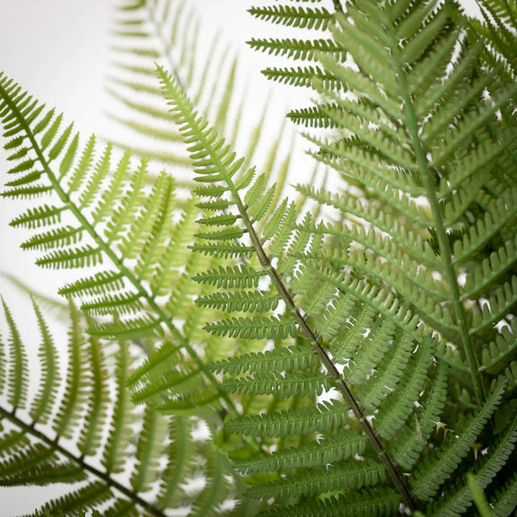 Faux Potted Fern, [product_price]- Greenhouse Home