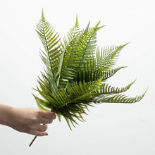 Fern Bush, [product_price]- Greenhouse Home