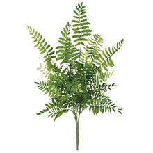 Fern Pick, [product_price]- Greenhouse Home
