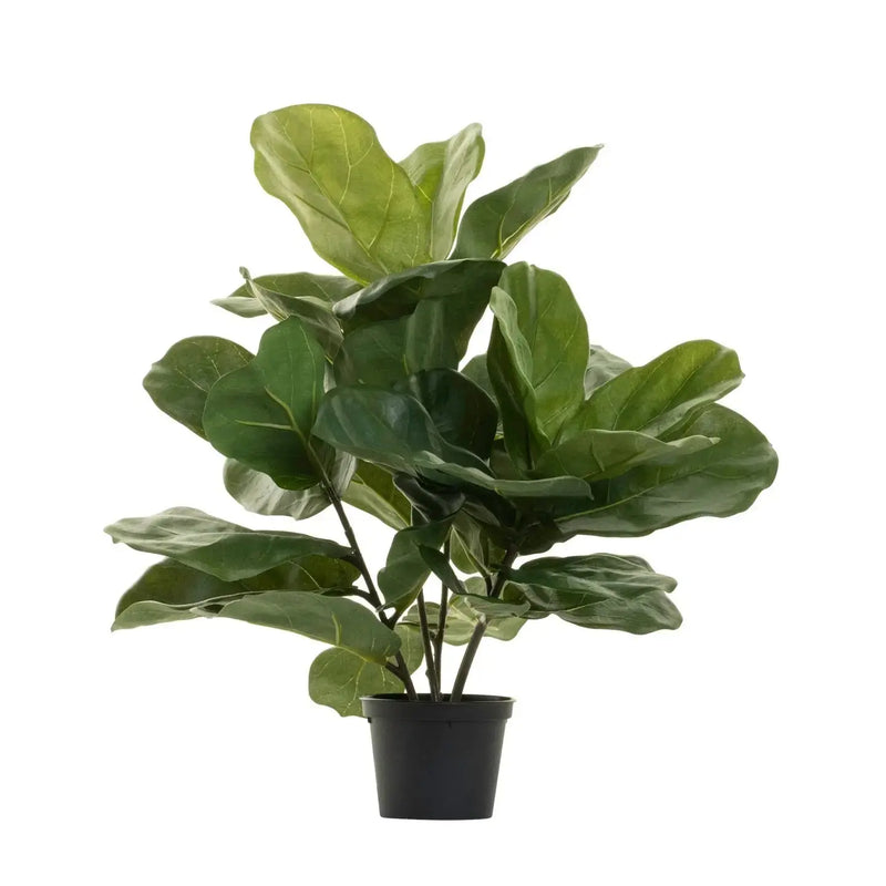 Fiddle Leaf Fig Tree Replica Plants & Decor