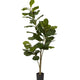 Fiddle Leaf Fig Tree, 5' Replica Plants & Decor