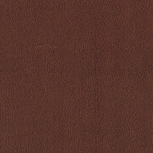 Fraser Dining Chair Greenhouse Home