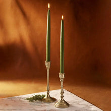 Frasier Fir 12" Taper Candle Set, [product_price]- Greenhouse Home