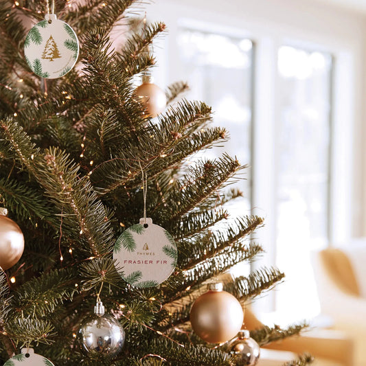 Frasier Fir Sachet Thymes