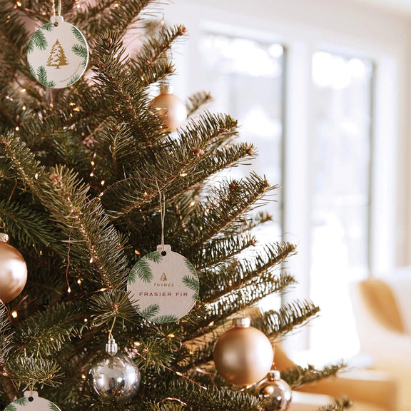 Frasier Fir Sachet Thymes