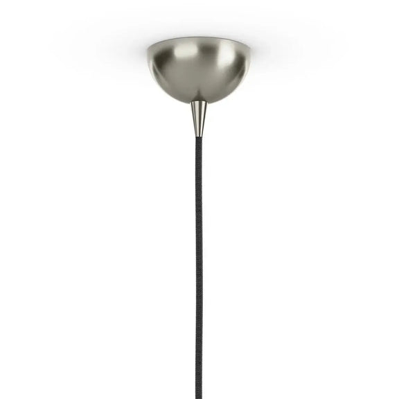 Glass Globe Pendant Greenhouse Home