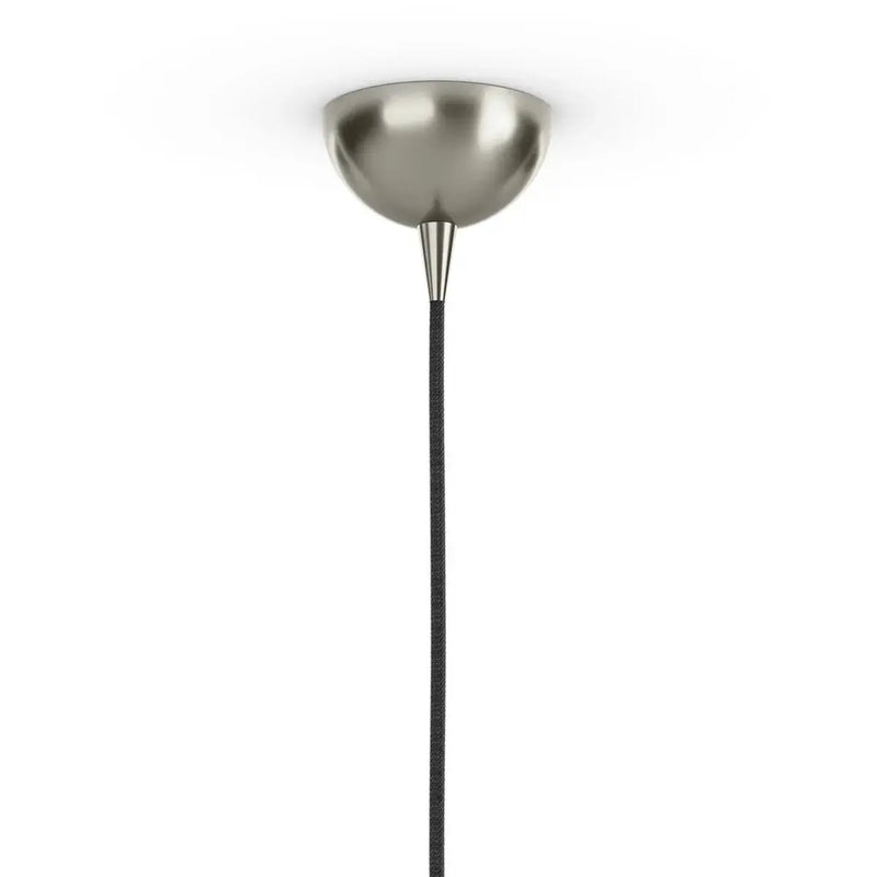 Glass Globe Pendant Greenhouse Home