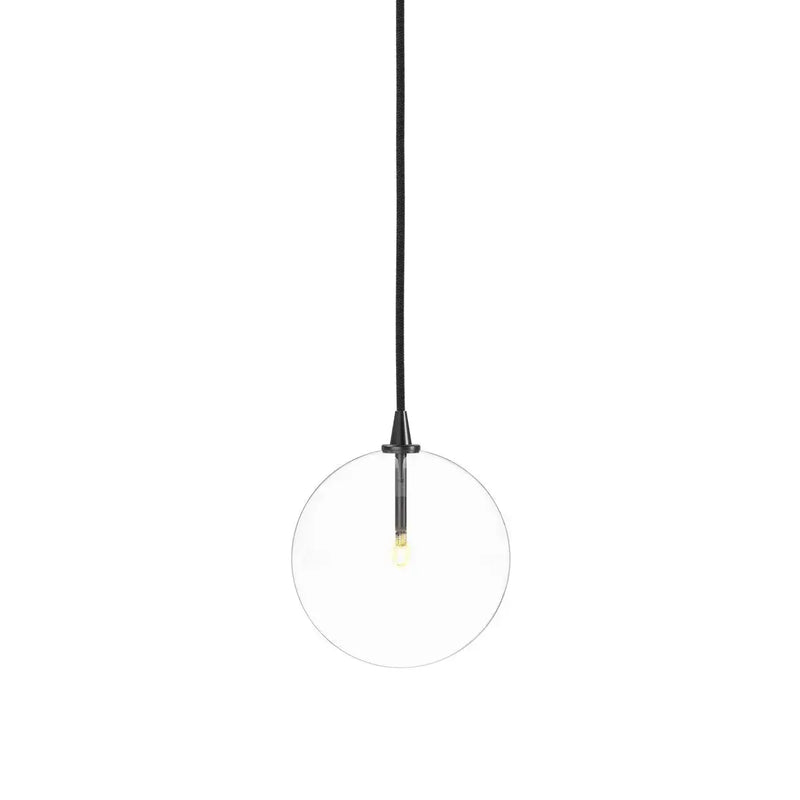 Glass Globe Pendant Greenhouse Home