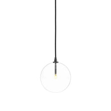 Glass Globe Pendant Greenhouse Home