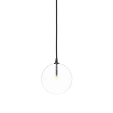 Glass Globe Pendant Greenhouse Home