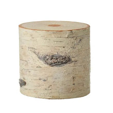 Glittered Birch Riser Raz Imports