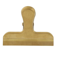 Stainless Steel Clip - Greenhouse Home