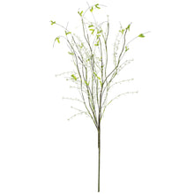 Grass Berry Spray, [product_price]- Greenhouse Home