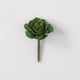 Green Flowered Succulent Pick, [product_price]- Greenhouse Home