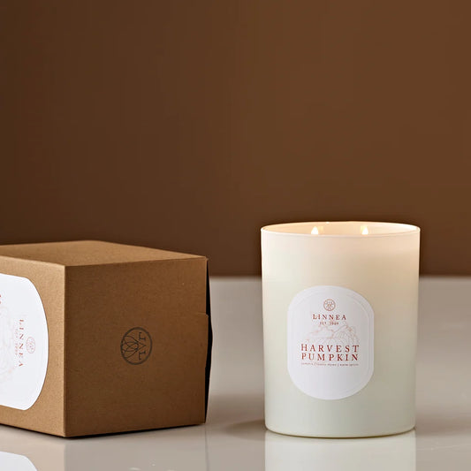 Harvest Pumpkin  2-Wick Candle