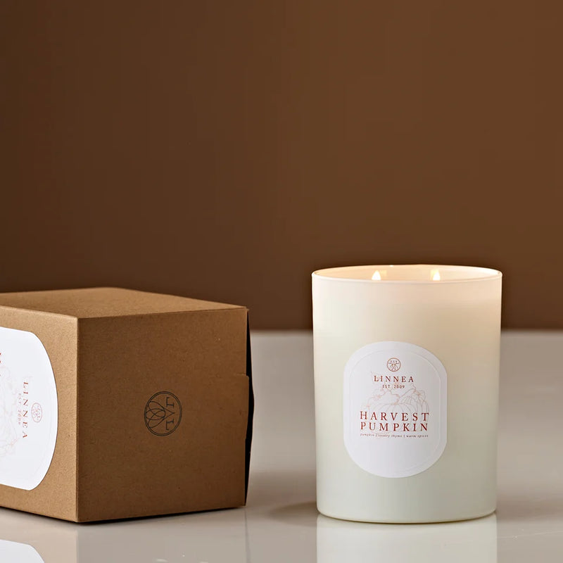 Harvest Pumpkin  2-Wick Candle