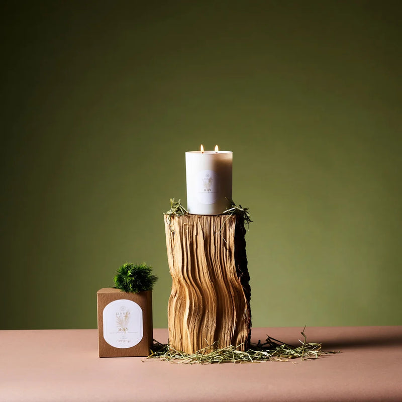 Hay 2-Wick Candle