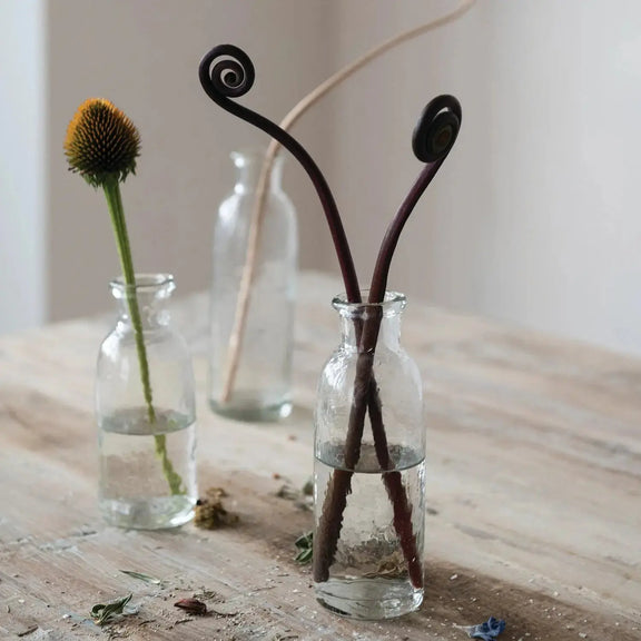 Hand-Blown Glass Bottle Vases Greenhouse Home
