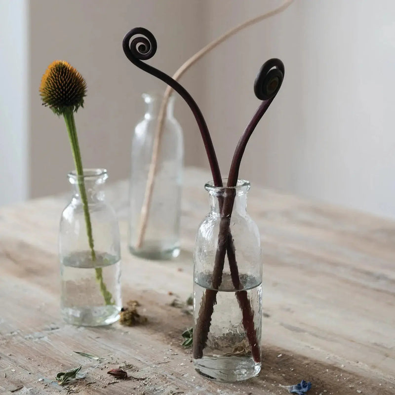 Hand-Blown Glass Bottle Vases Greenhouse Home