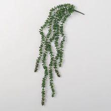 Hanging Succulent Spray, [product_price]- Greenhouse Home