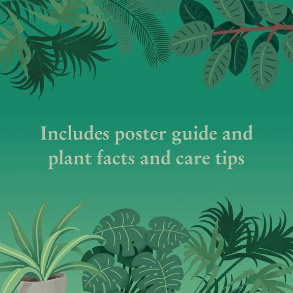 Houseplants 1000 Piece Jigsaw Puzzle Chronicle Books