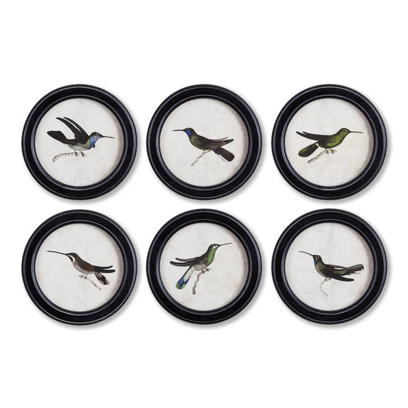 Hummingbird Round Petite Prints Napa Home & Garden