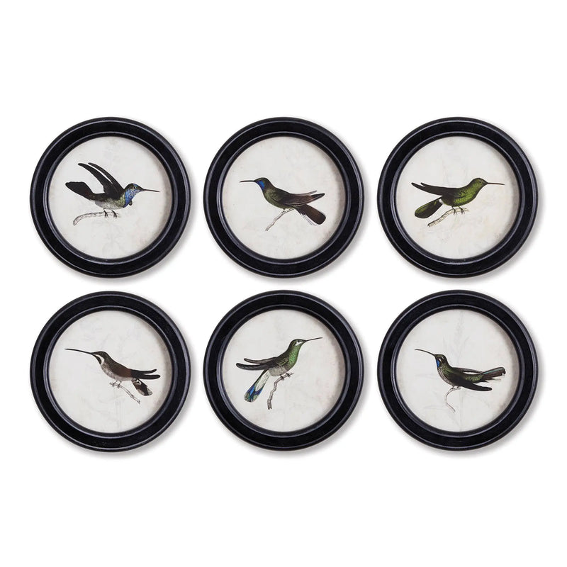 Hummingbird Round Petite Prints Napa Home & Garden