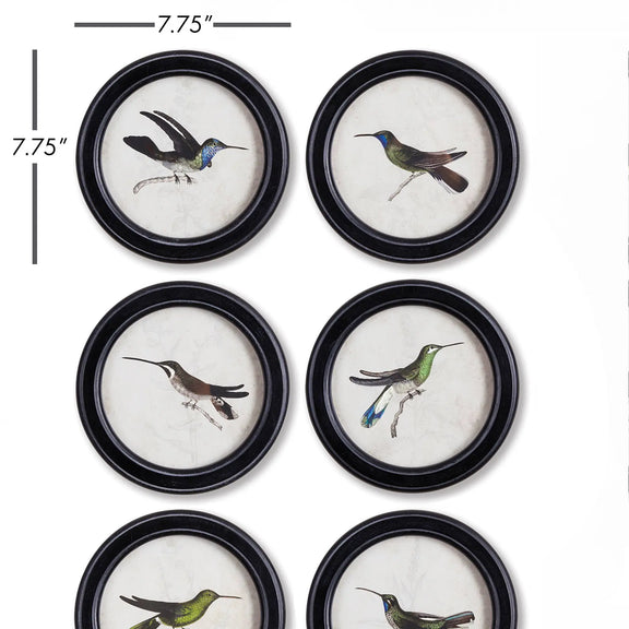 Hummingbird Round Petite Prints Napa Home & Garden