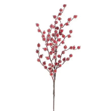 Iced Berry Spray Raz Imports