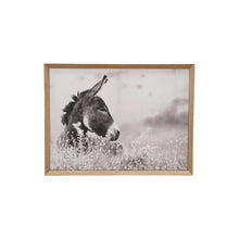 MDF Framed Canvas with Donkey Photography Greenhouse Home