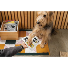 Meow & Furever Swedish Dishcloth Ecologie