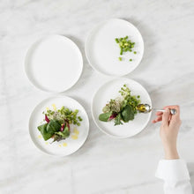 Modern Coupe Salad Plate Fortessa
