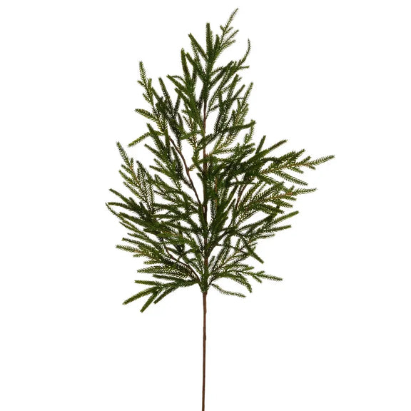 Norfolk Pine Branch Raz Imports