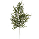Norfolk Pine Branch Raz Imports