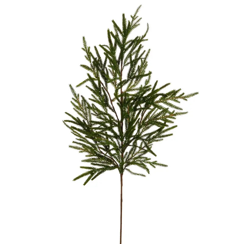 Norfolk Pine Branch Raz Imports