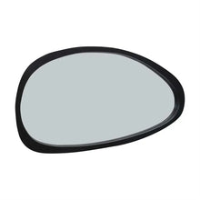 Oblong Mango Wood Framed Mirror, Black - Greenhouse Home