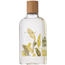 Olive Leaf Body Wash - Greenhouse Home
