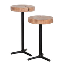 Organic Martini Tables - Set of 2 - Greenhouse Home