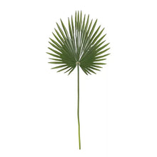 Palmetto Leaf Sullivans
