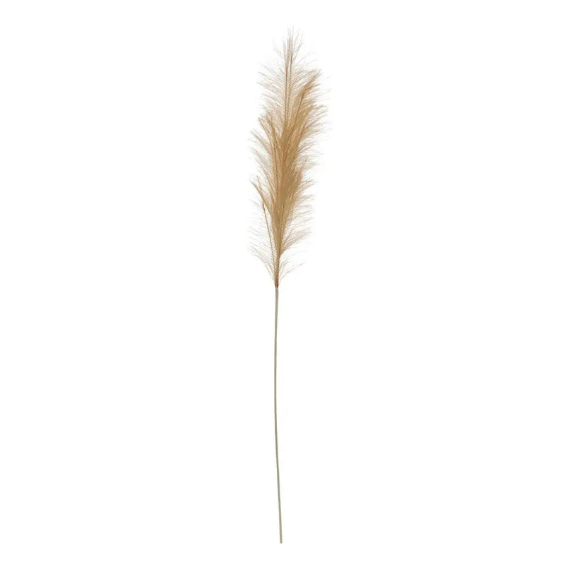 Pampas Grass Branch Greenhouse Home