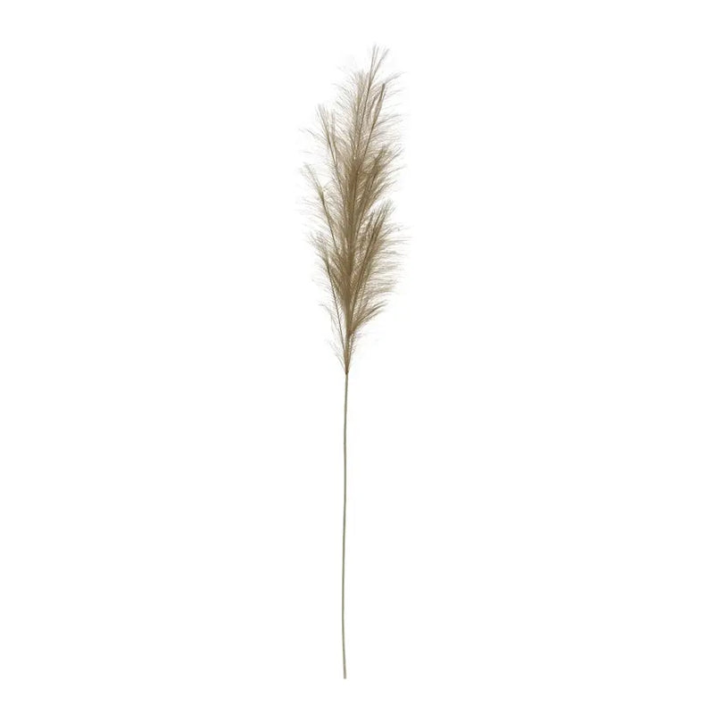 Pampas Grass Branch Greenhouse Home