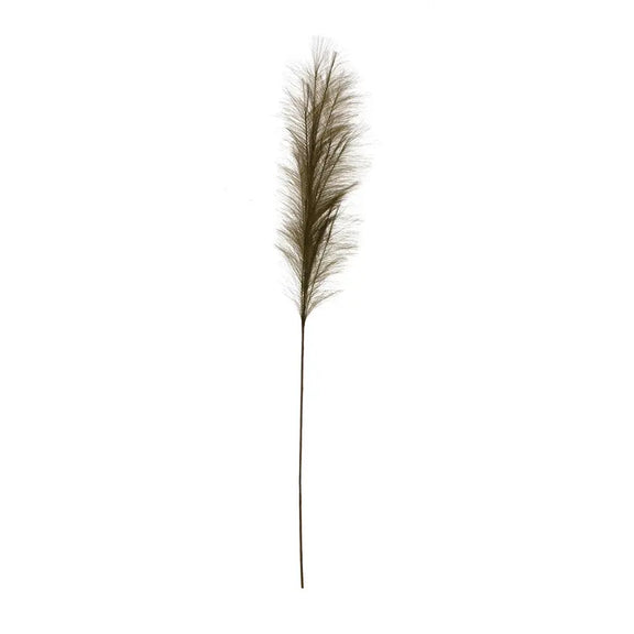 Pampas Grass Branch Greenhouse Home