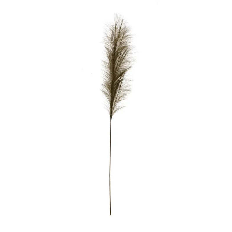 Pampas Grass Branch Greenhouse Home