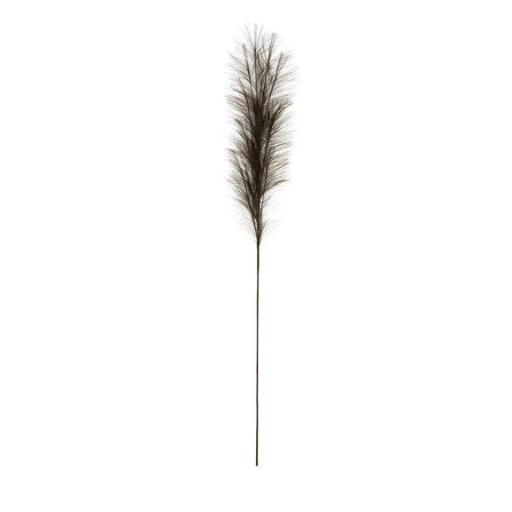 Pampas Grass Branch Greenhouse Home