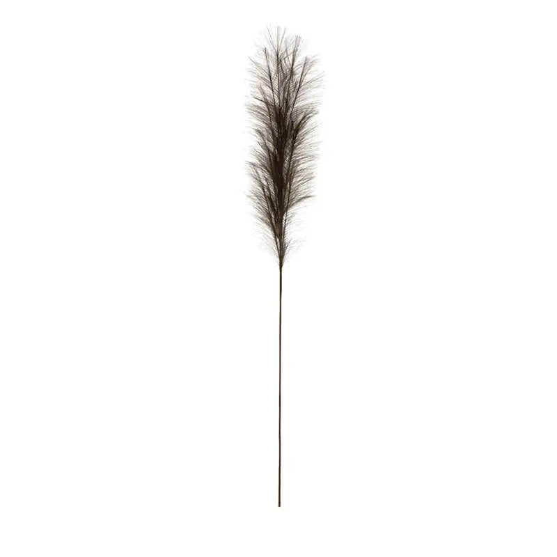 Pampas Grass Branch Greenhouse Home